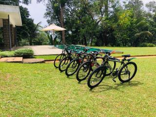 Denawaka Planters Bungalow - Maligawatta - 3