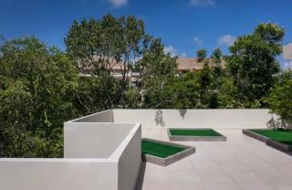 jungle jacuzzi studio - 1