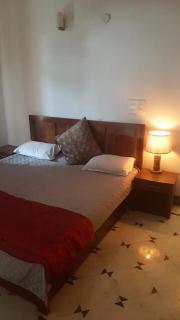 The Mini cozy Hut - Dehradun - 5
