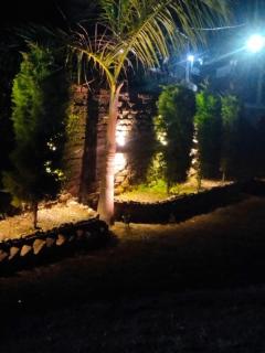 The Mini cozy Hut - Dehradun - 2