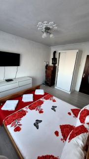 Apartament cu 3 camere central Sulina - Sulina - 3