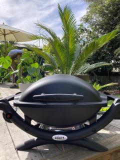 The Barn Bellingen - 5