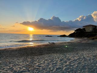 T3 bord de mer en Corse N130 - Linguizzetta - 4