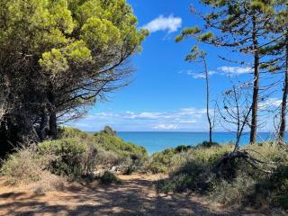 T3 bord de mer en Corse N130 - Linguizzetta - 1