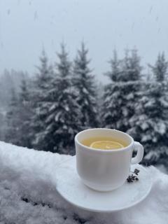 Golden Nest - Yablunytsya - 5