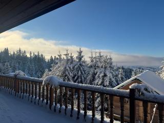 Golden Nest - Yablunytsya - 6