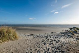 Wit huisje Baarland - Baarland - 1