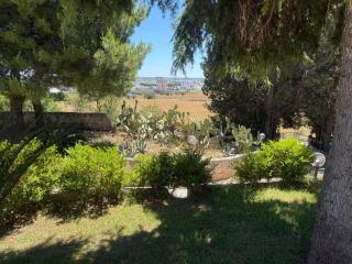 Masseria Patese - Acquarica del Capo - 6