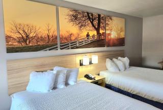 Days Inn by Wyndham Houston - Houston - 8