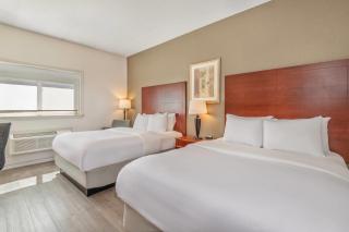 Comfort Inn & Suites Thousand Islands Harbour District - Gananoque - 4