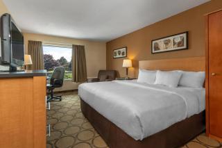Comfort Inn - Swift Current - 2
