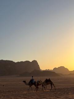 Wadi Rum Beyond nature - Wadi Rum - 3