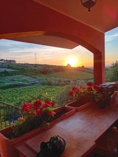 Poggio agli Ulivi - Frascati - 5
