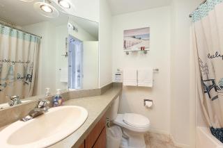 Lovely Beachside Studio at The Shores 5679 - 1