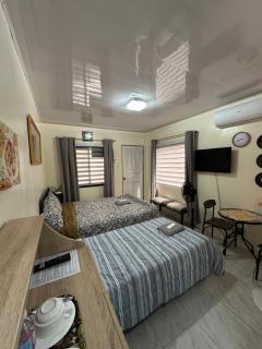 Topaz Bed & Breakfast Hotel - San Jose - 4