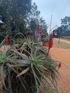 African Silhouette Guesthouse - Benoni - 4