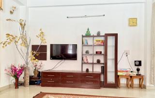 The Solan Greens - 3
