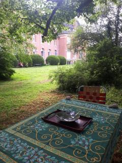 Appartement château classé, site remarquable, 1chbre - Salbris - 1