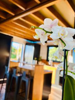 Villa Tamara les hauts - 6