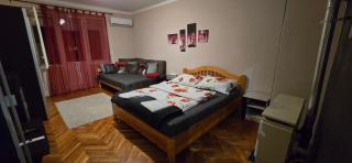 Tisza-parti Napfény Apartman - Szeged - 8