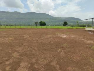 Shikhar camping bhandardara - Bhandāra - 5