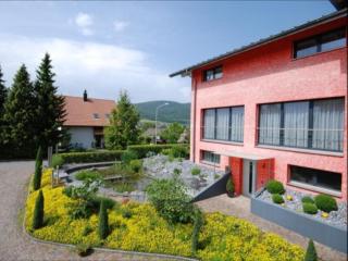 Naturnah und stilvoll 2-Zimmerwohnung mit Klasse - Kappel bei Olten - 0