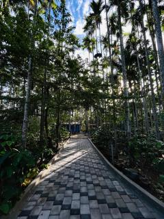 Aqueduct Retreat - Kushālnagar - 1