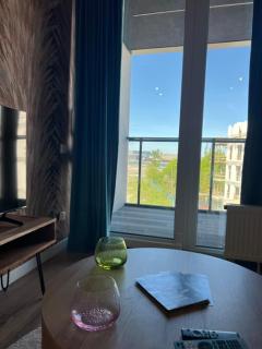 Baltic Riviera Apartments - deluxe with top tarrace river view and fitness gym - Danzig - 7