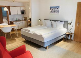 s Lois Schönes Studio im ruhigen Kaunertal - Kaunertal - 9