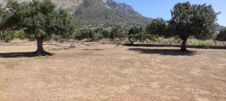 HA Camp - Ierápetra - 4