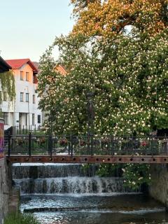 Apartamenty EverySky Blue Kowary, łatwy dostęp, widok na góry, winda - 8