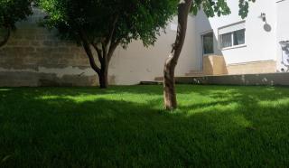 Il Pumo Salentino - Lecce - 1