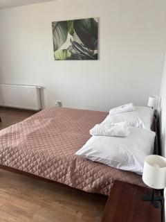 Zielona Osada Apartamenty - Ciężkowice - 5