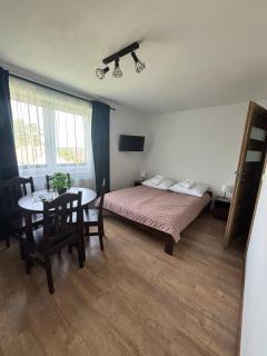 Zielona Osada Apartamenty - Ciężkowice - 9