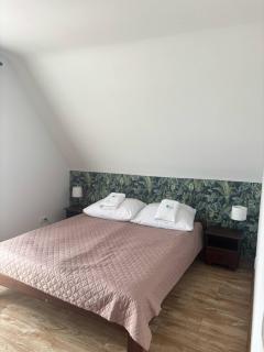 Zielona Osada Apartamenty - Ciężkowice - 0
