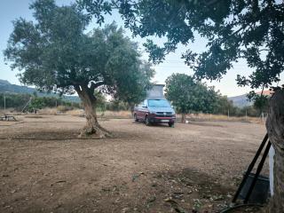HA Camp - 8