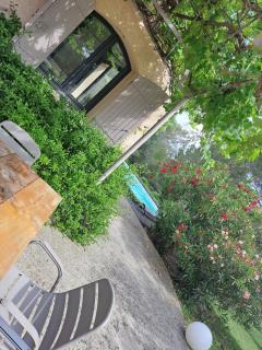 Vue imprenable sur les oliviers! - Langlade - 1