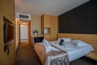 Complex Hotelier Steaua de Mare - Hotel Delfinul - Eforie Nord - 2