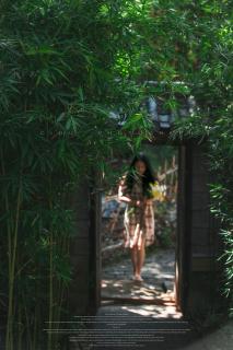 阅时 Adonis野生派 Black Bar 森林大院民宿 - 9