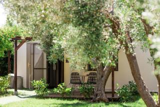 Pefkon Suites - Afytos - 0