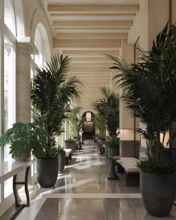 The Florentin by Althoff Collection - 7