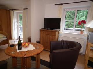 Ferienwohnung Nexö 25 qm, 1 Wohn-Schlafzimmer N7 - Ilsenburg - 7