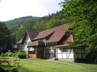 Ferienwohnung Nexö 25 qm, 1 Wohn-Schlafzimmer N7 - Ilsenburg - 3