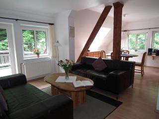 Ferienwohnung Nexö, 65 qm, 2 Schlafzimmer N8 - Ilsenburg - 4