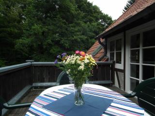 Ferienwohnung Nexö, 65 qm, 2 Schlafzimmer N8 - Ilsenburg - 2