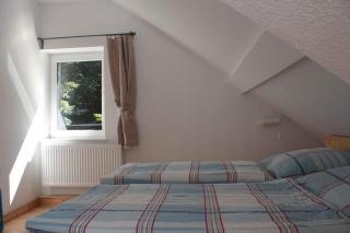 Ferienwohnung Forsthaus am Brocken, 55 qm, 2 Schlafzimmer F7 - Ilsenburg - 4