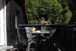 Ferienwohnung Forsthaus am Brocken, 55 qm, 2 Schlafzimmer F7 - Ilsenburg - 3