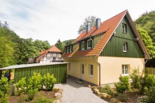 Ferienhäuser Ilsestein Doppelhaus, 100 qm, 3 Schlafzimmer - Ilsenburg - 9