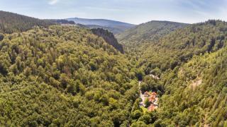 Ferienhäuser Ilsestein Einzelhaus, 130 qm, 4 Schlafzimmer - Ilsenburg - 7
