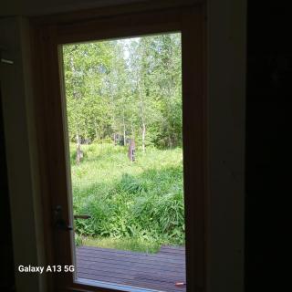 Cottage / Mökki, unique summer cottage - 7